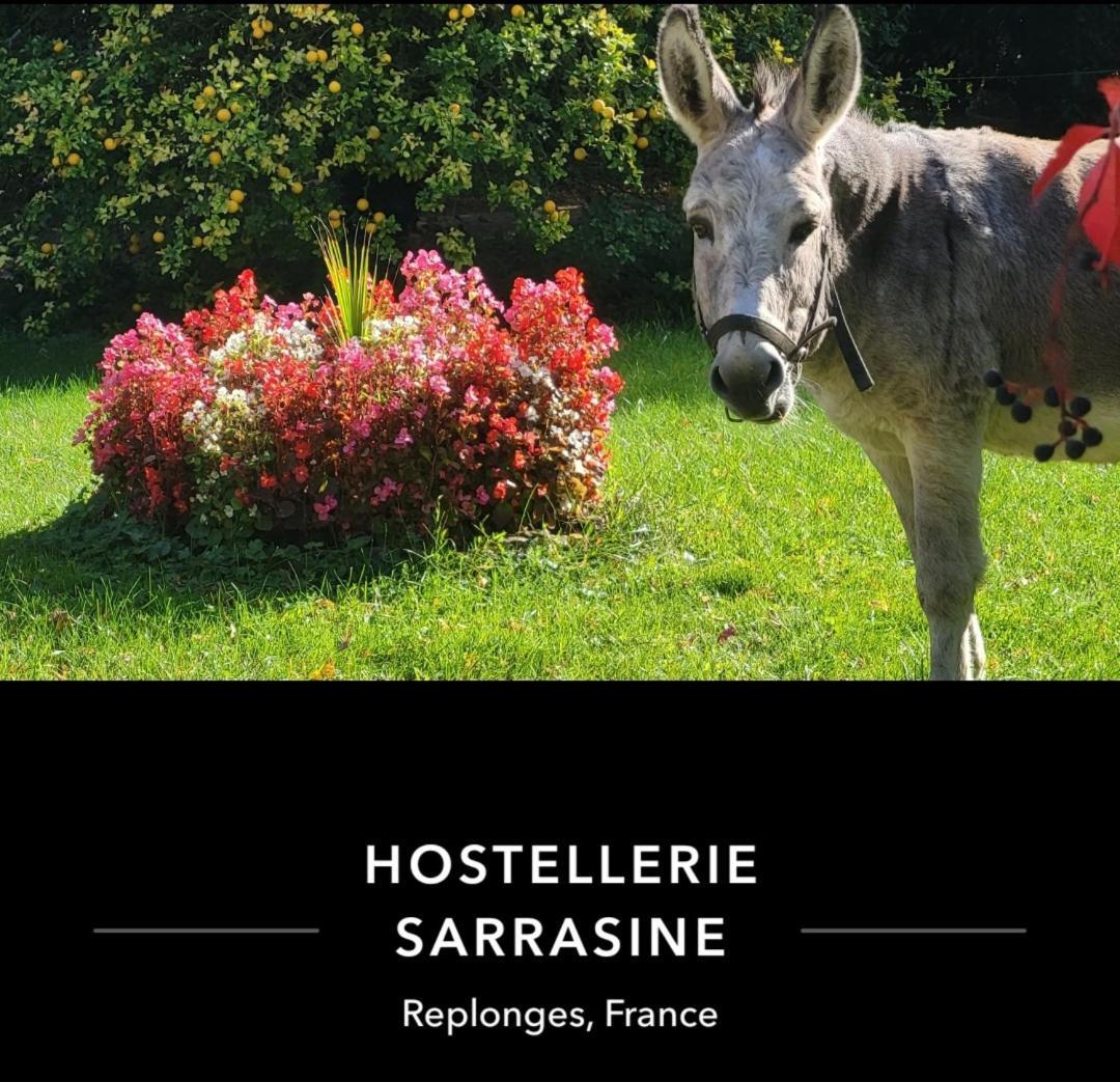 Hostellerie Sarrasine - Macon Est Replonges Eksteriør billede